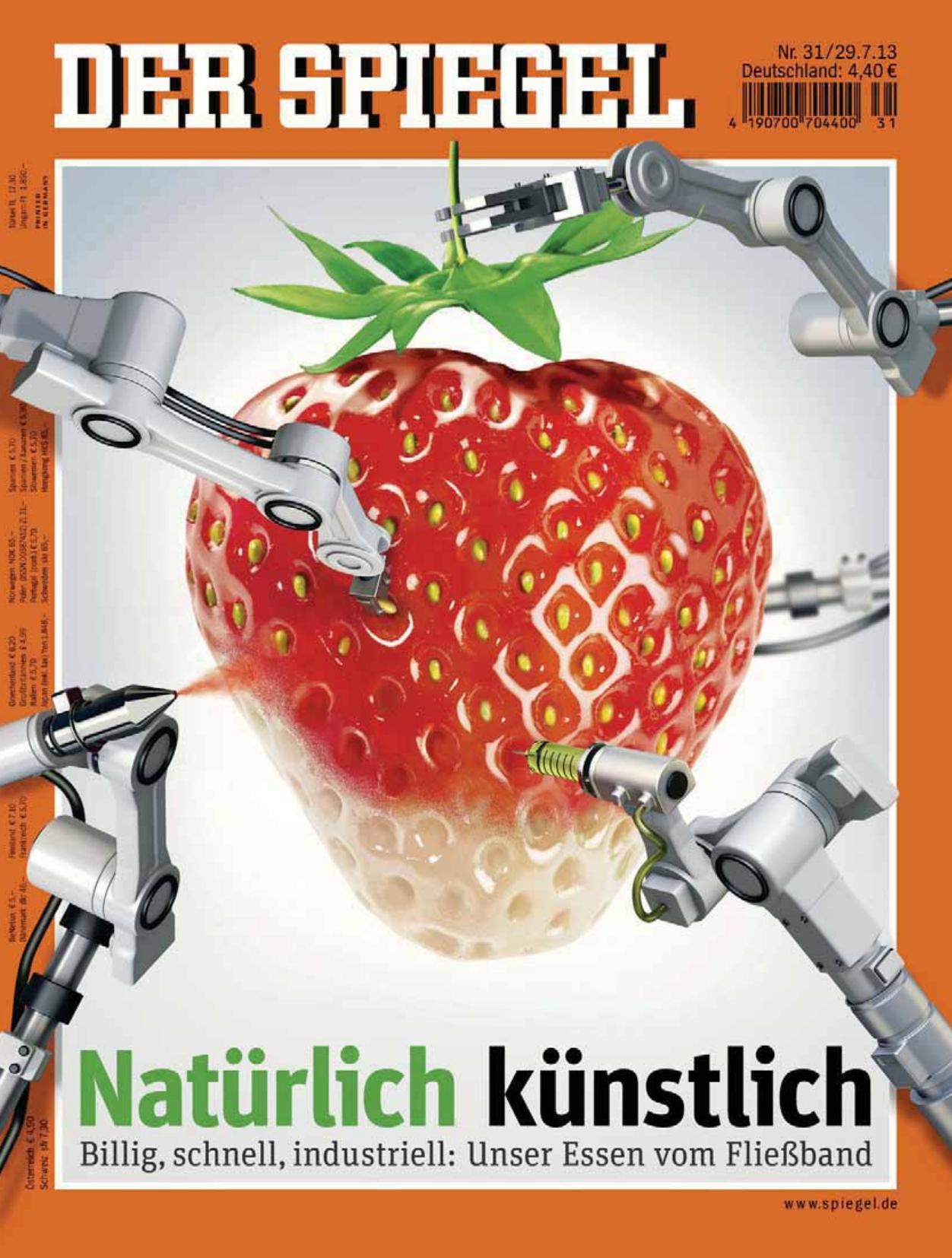 Der Spiegel Nr. 31/2013