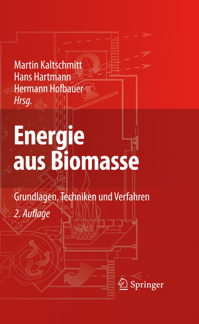 Energie aus Biomasse: Grundlagen, Techniken und Verfahren