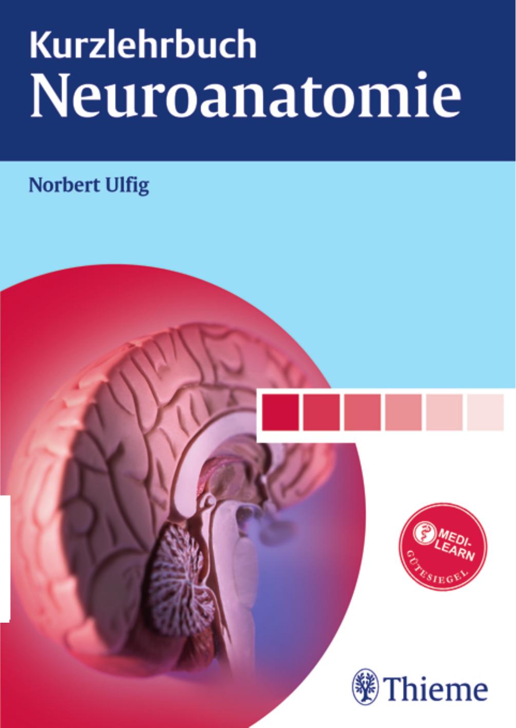 Kurzlehrbuch Neuroanatomie