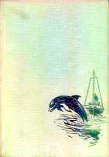 Funksignale aus der Bucht.