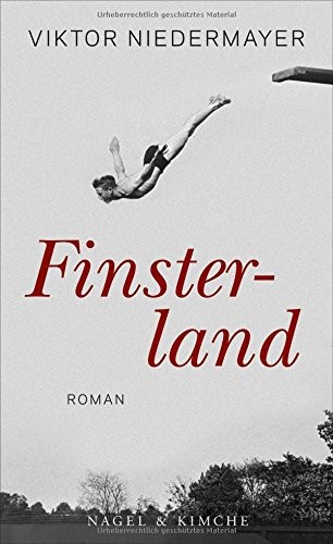 Finsterland: Roman
