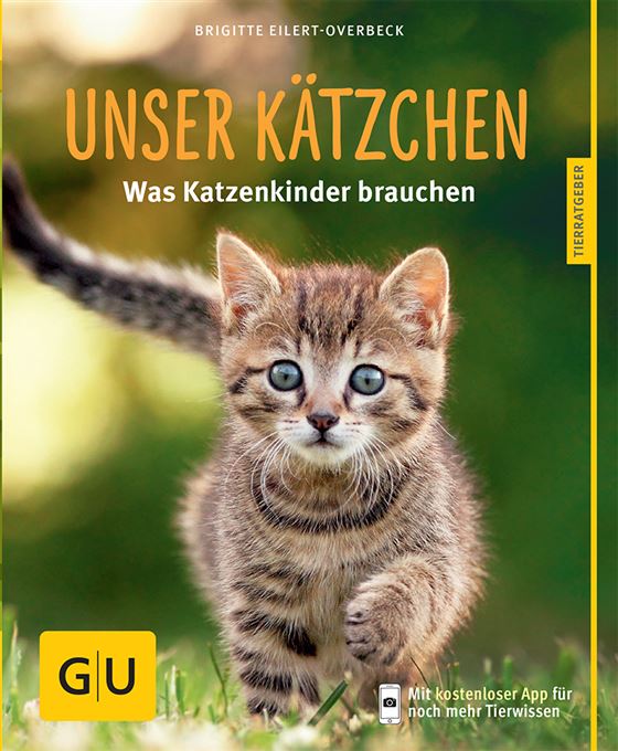Unser Kätzchen: Was Katzenkinder brauchen