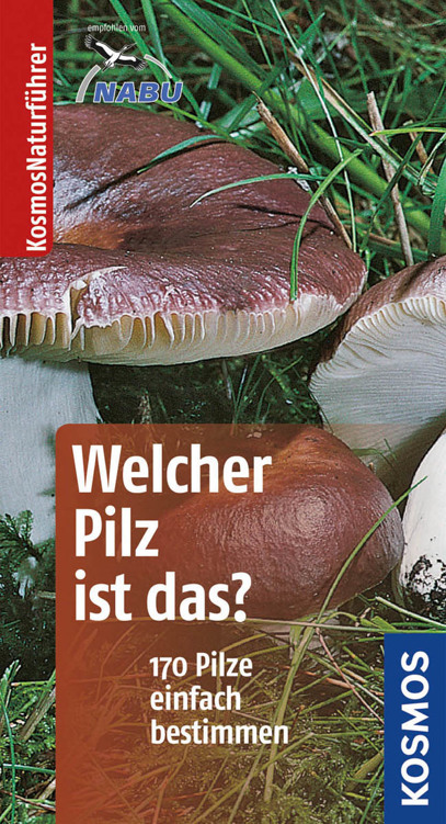Welcher Pilz ist das?: 170 Pilze einfach bestimmen