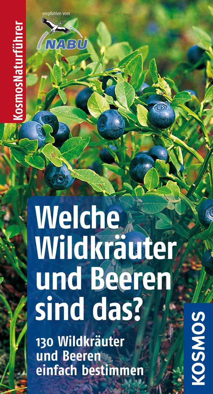 Welche Wildkräuter und Beeren sind das?: 130 Wildkräuter und Beeren einfach bestimmen
