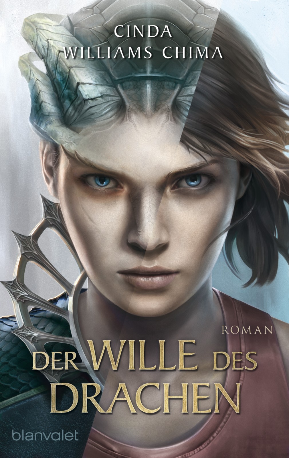 Der Wille des Drachen: Roman