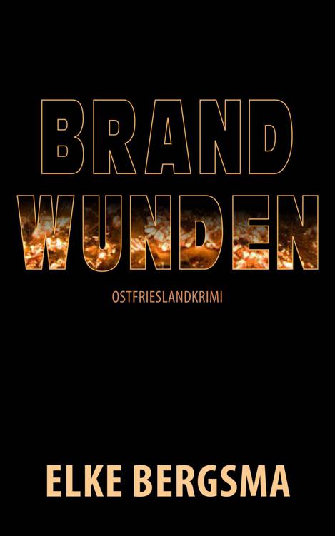 Brandwunden - Ostfrieslandkrimi