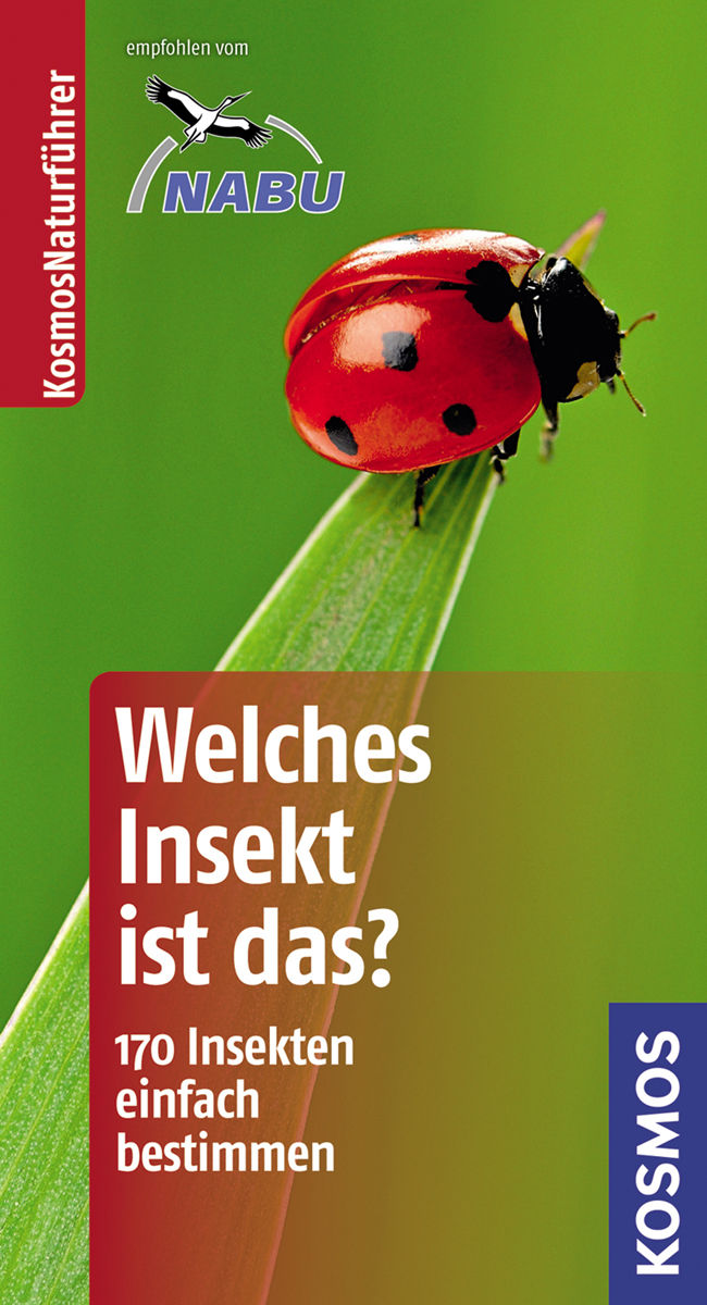 Welches Insekt ist das?: 170 Insekten einfach bestimmen