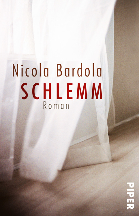 Schlemm: Roman