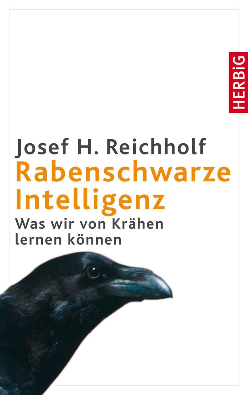 Rabenschwarze Intelligenz: Was wir von Krähen lernen können