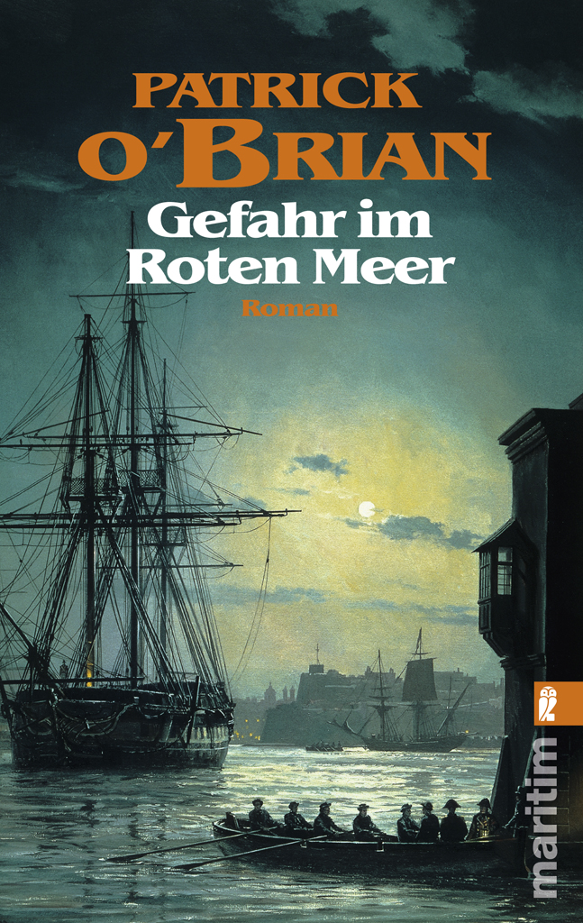 Gefahr im Roten Meer: Roman