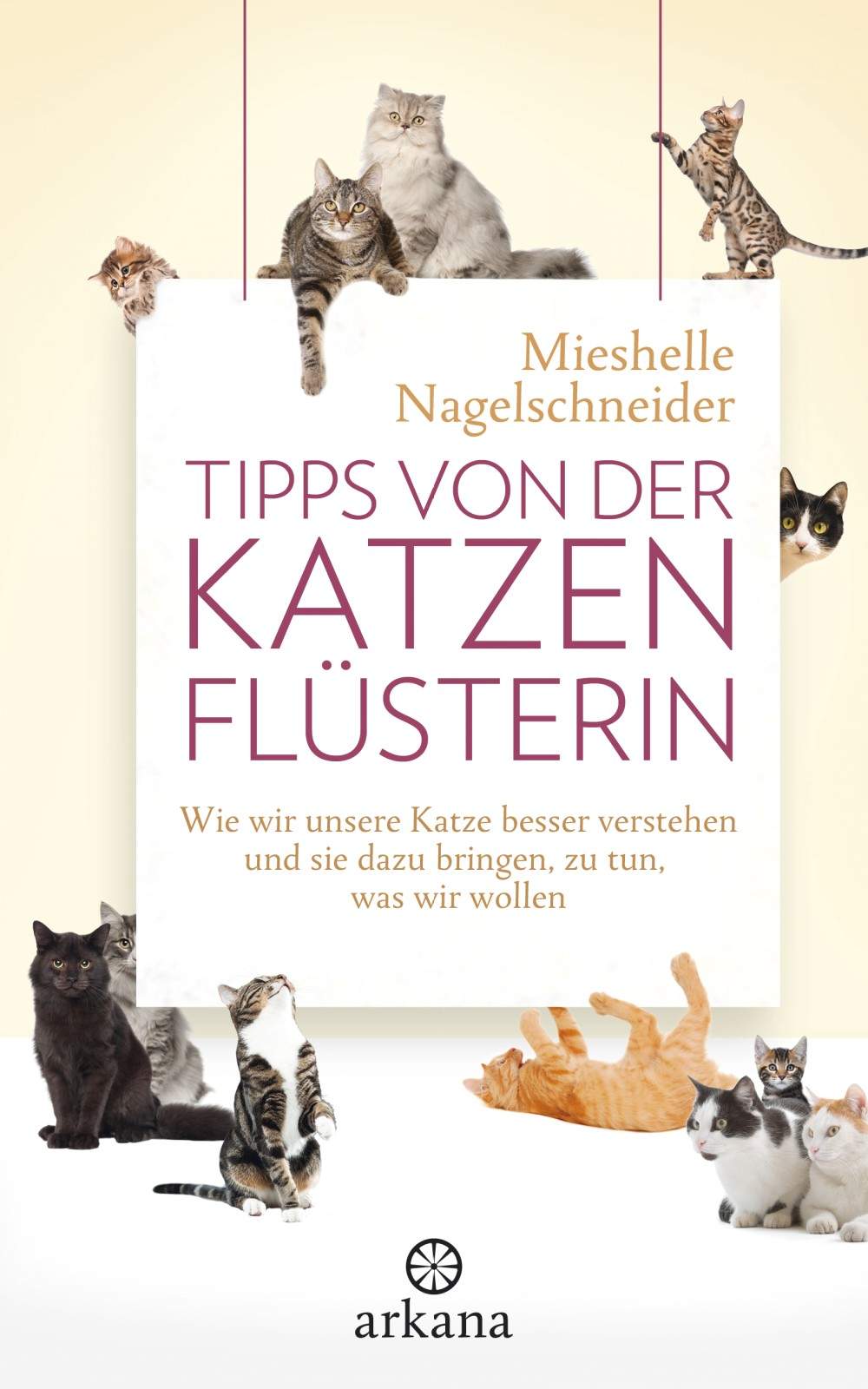 Tipps von der Katzenflüsterin: Wie wir unsere Katze besser verstehen und sie dazu bringen, zu tun, was wir wollen