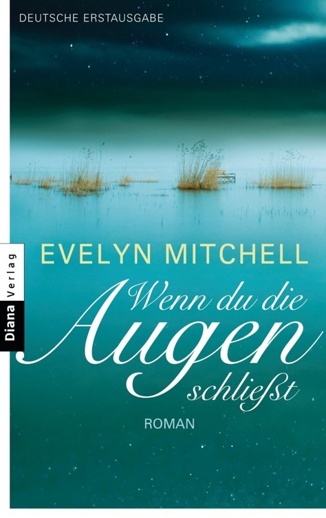 Wenn du die Augen schließt: Roman