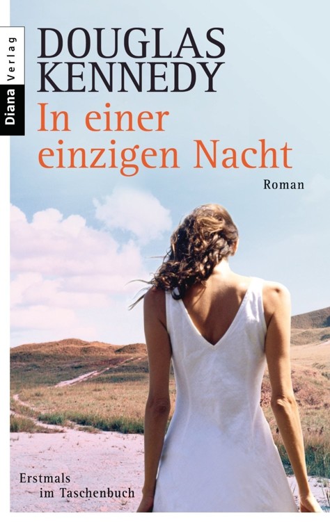 In einer einzigen Nacht: Roman